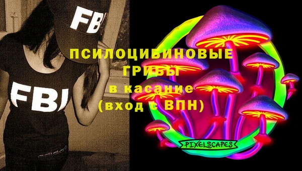 сатива Володарск