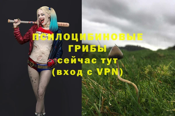 сатива Володарск