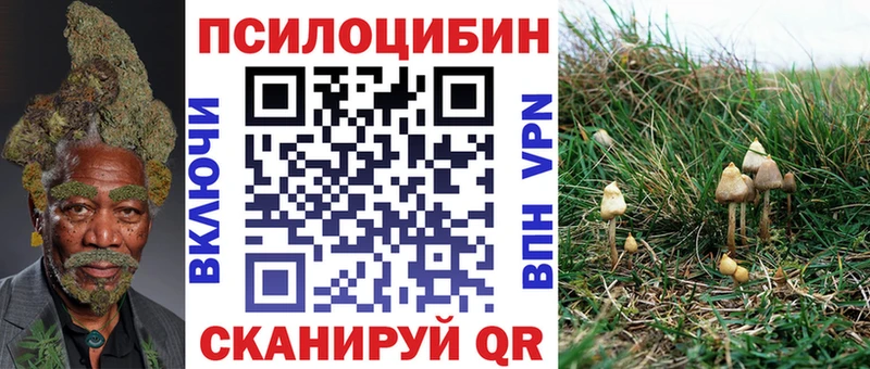 Галлюциногенные грибы Magic Shrooms  Александровское 